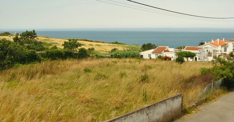 Registo de terrenos sem custos até setembro e RGG exigida na escritura